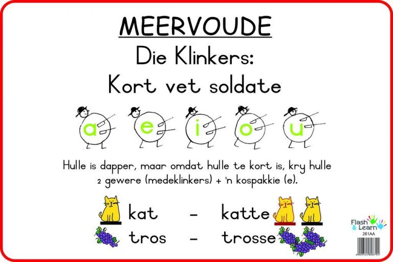 graad-4-afrikaans-meervoude-verkleinwoorde-enkelvoudige-en