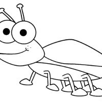 Graad 3 Lewensvaardigheid: Insekte, 29 April 2020
